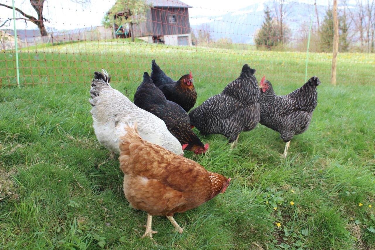 Bauernhof Hammerer Egg Exterior foto