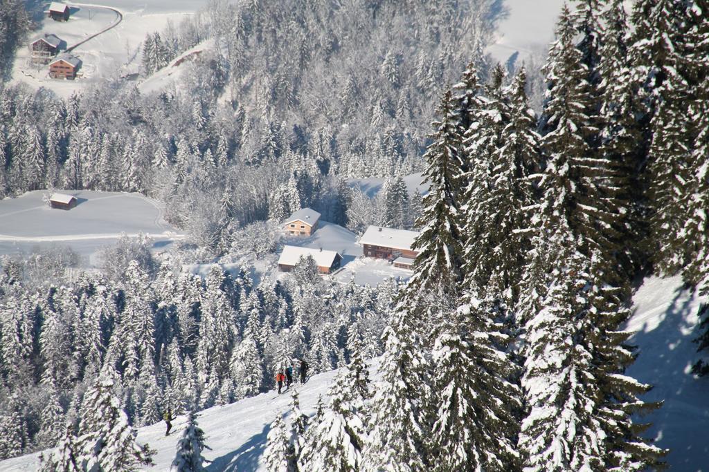 Bauernhof Hammerer Egg Cameră foto