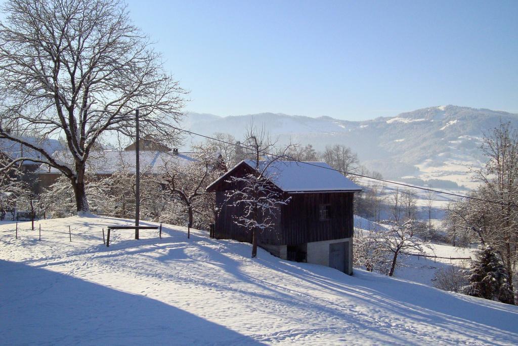 Bauernhof Hammerer Egg Cameră foto